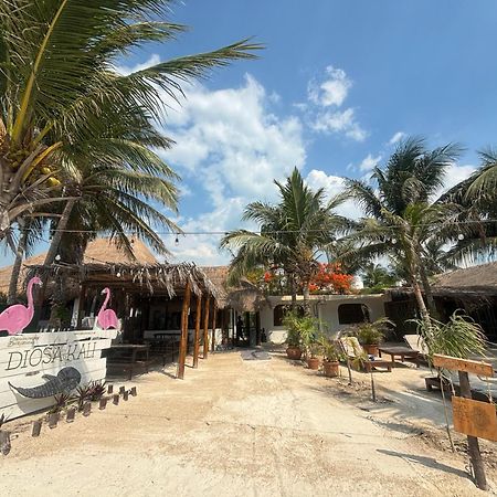 La Diosa Kali Beach Front Hotel Isla Holbox Exterior photo
