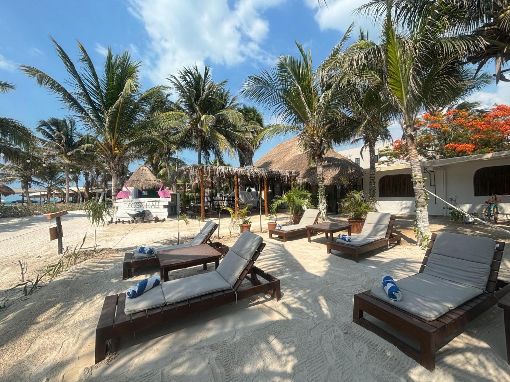 La Diosa Kali Beach Front Hotel Isla Holbox Exterior photo