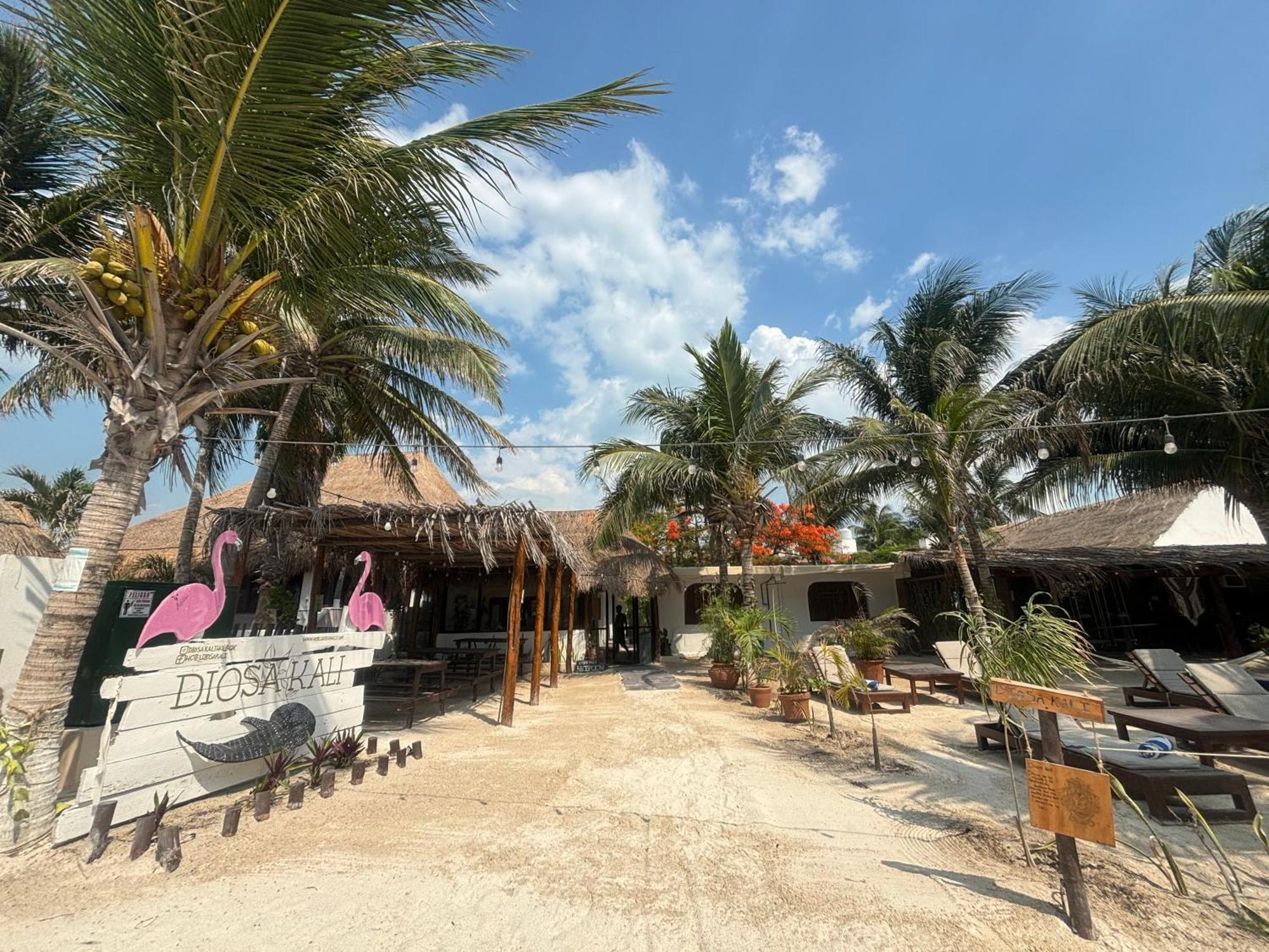 La Diosa Kali Beach Front Hotel Isla Holbox Exterior photo