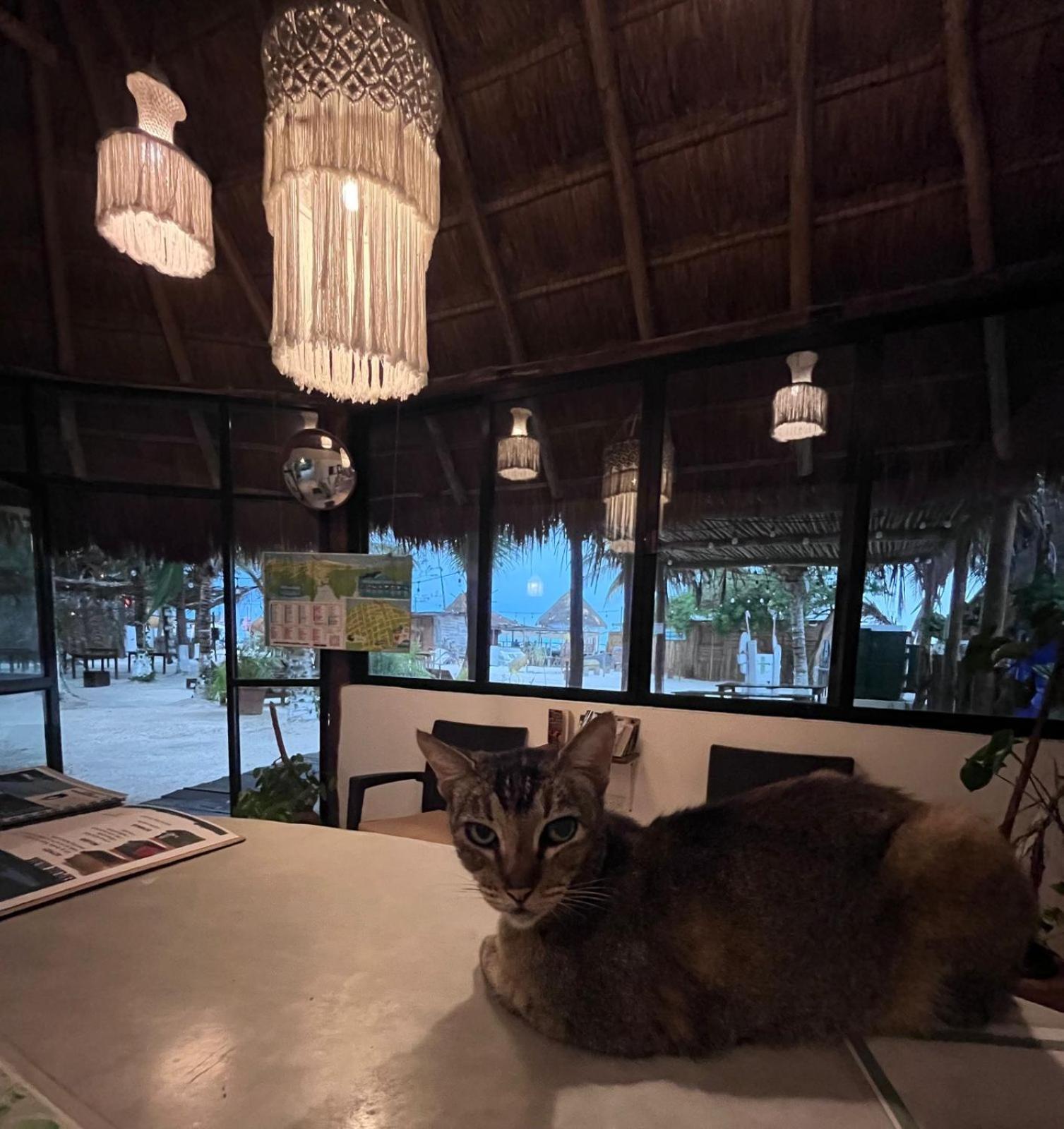 La Diosa Kali Beach Front Hotel Isla Holbox Exterior photo