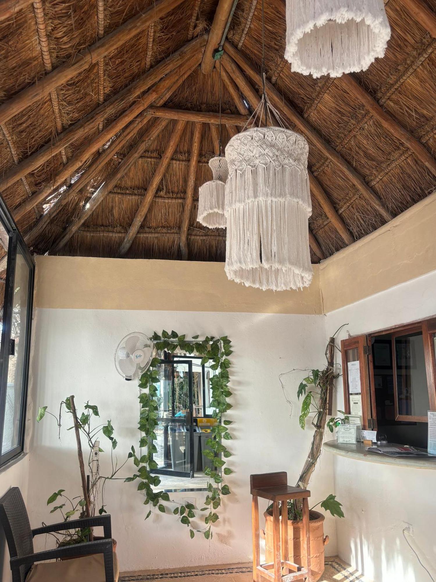 La Diosa Kali Beach Front Hotel Isla Holbox Exterior photo